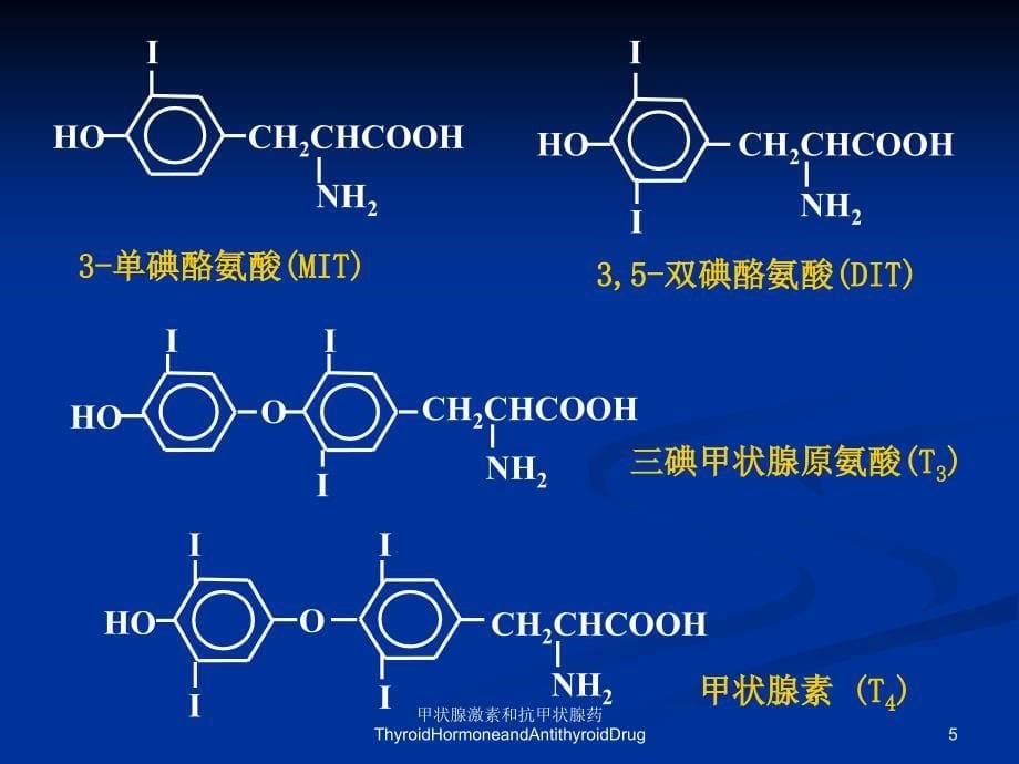 甲状腺激素和抗甲状腺药ThyroidHormoneandAntithyroidDrug课件_第5页