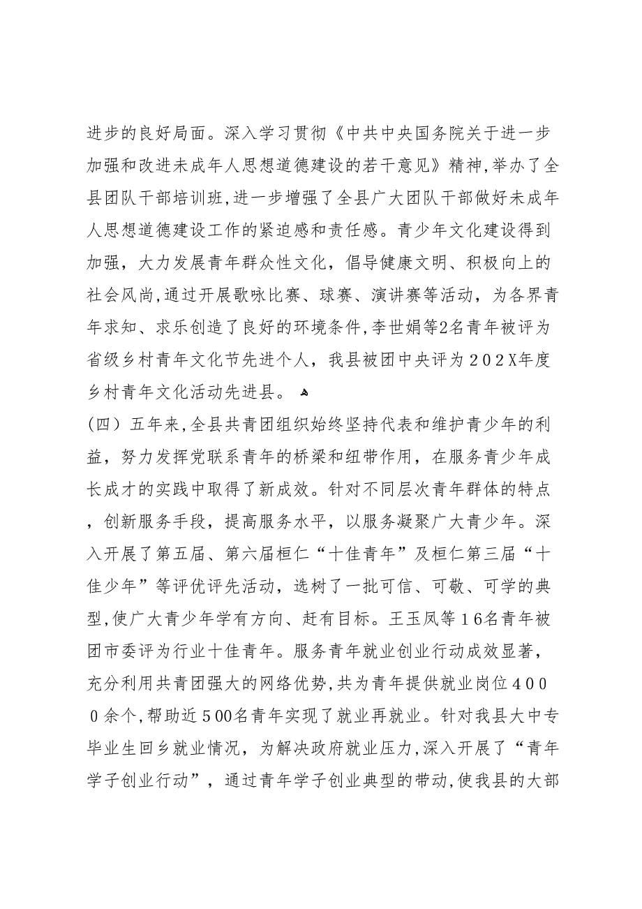 共青团县第十九届委员会工作报告2_第5页