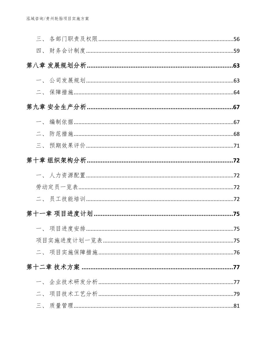 贵州轮胎项目实施方案模板_第4页