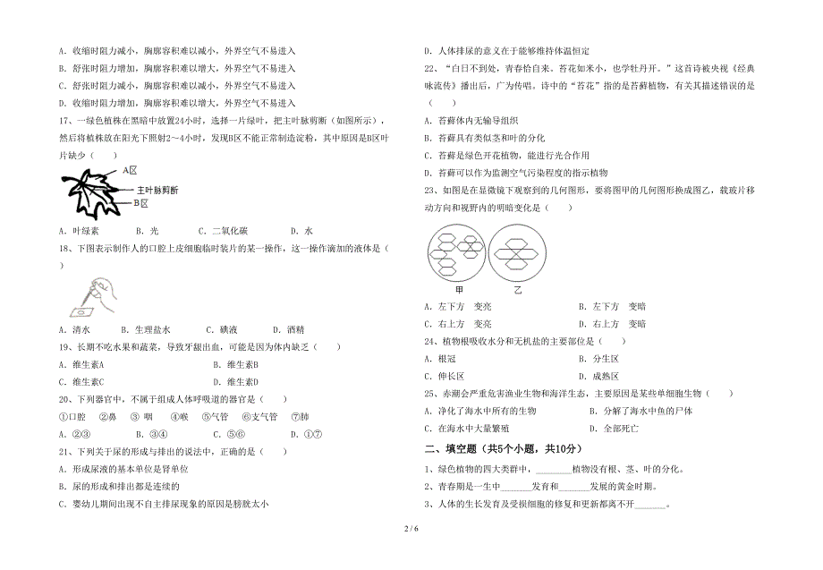 2023年七年级生物上册期末试卷(新版).doc_第2页