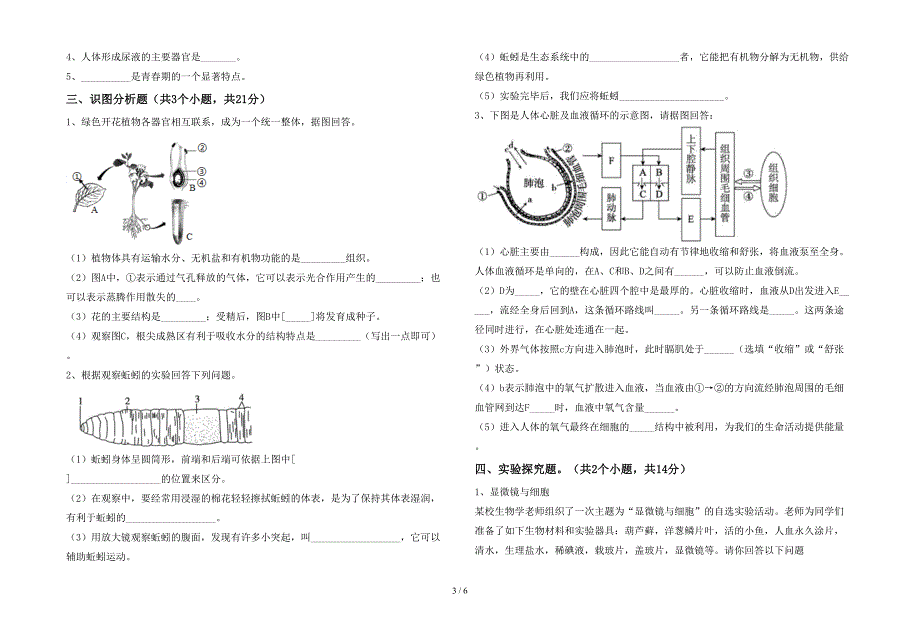 2023年七年级生物上册期末试卷(新版).doc_第3页