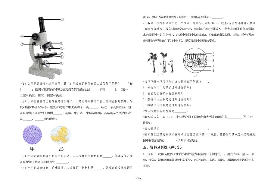 2023年七年级生物上册期末试卷(新版).doc_第4页