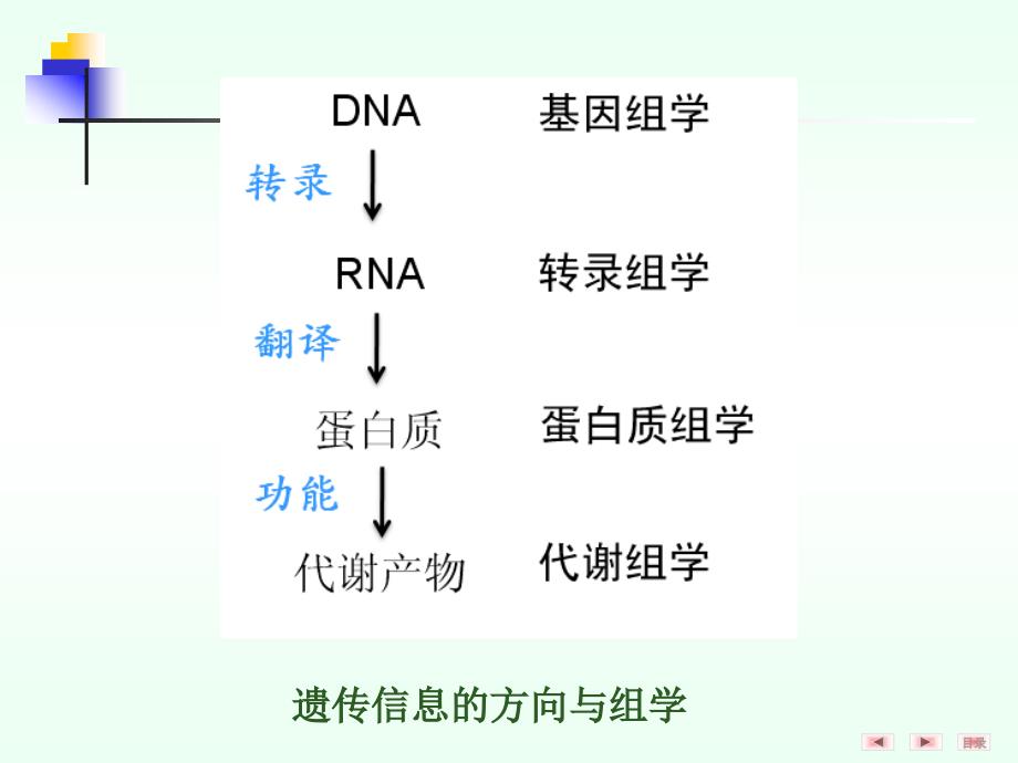 生物化学与分子生物学课件：第26章 组学与医学_第2页