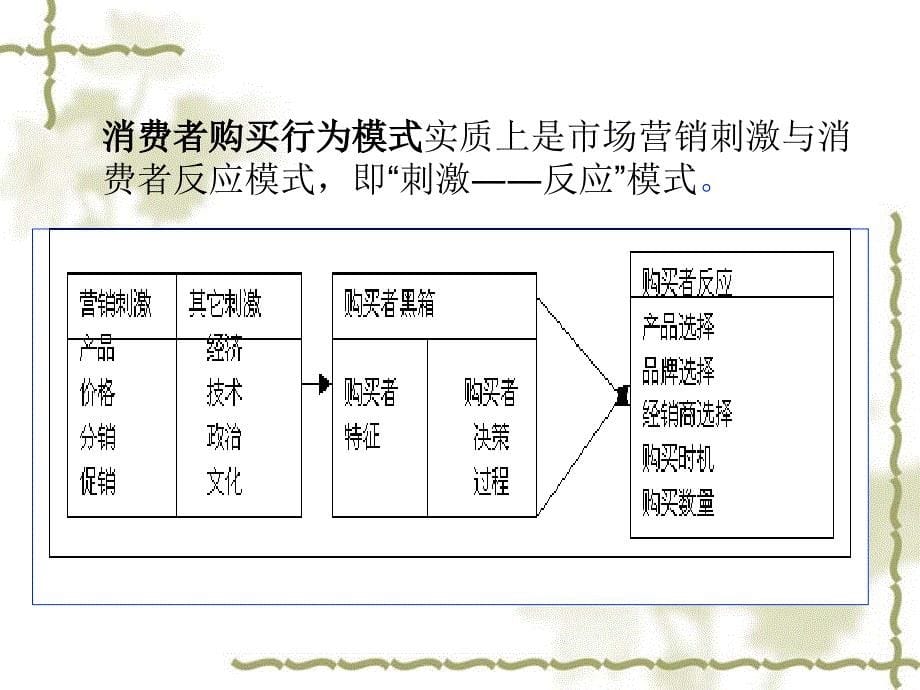 消费者心理与行为分析课件_第5页