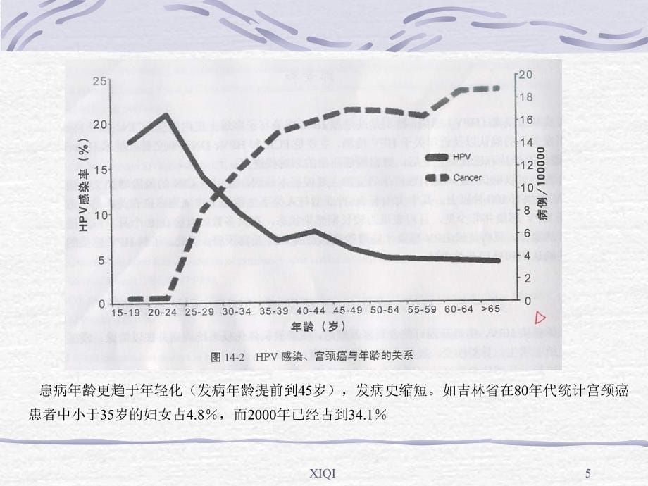 HPV与宫颈癌和HPV的基因芯片检测_第5页