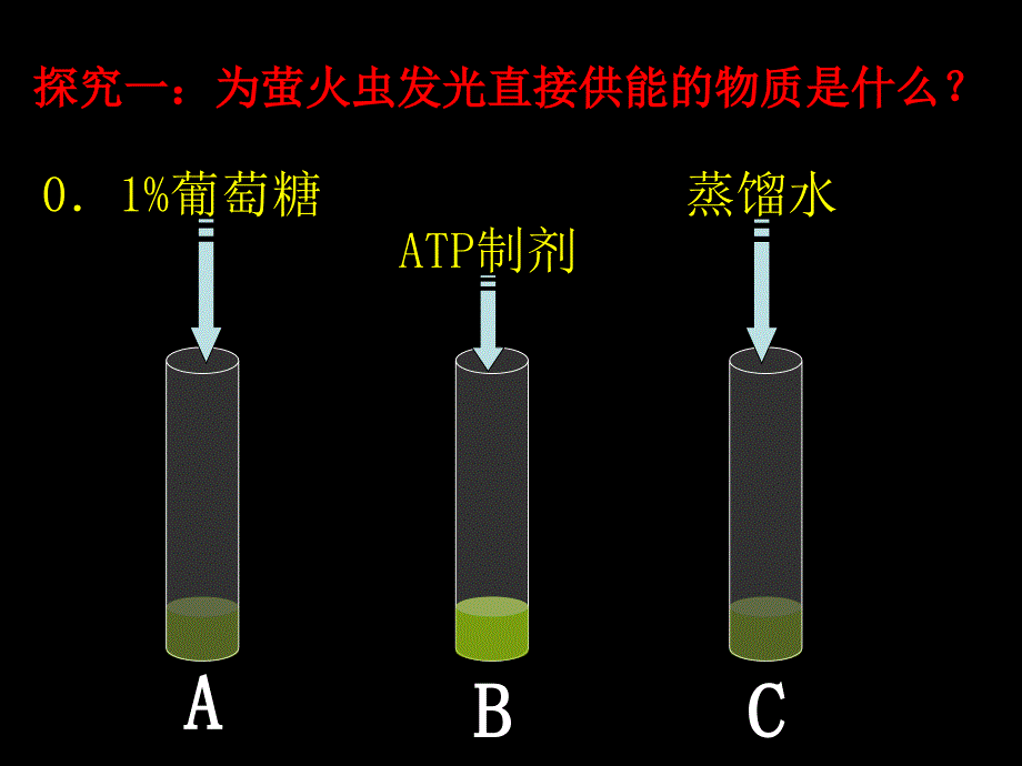 细胞的能量通货 atp_第4页