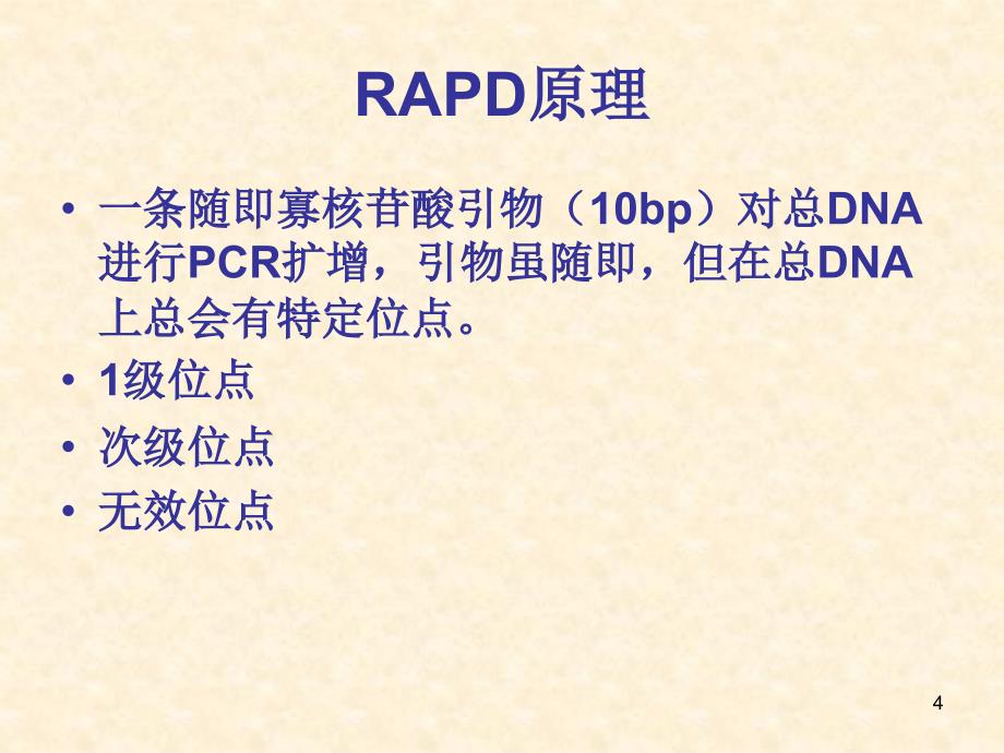 初稿分子标记技术_第4页