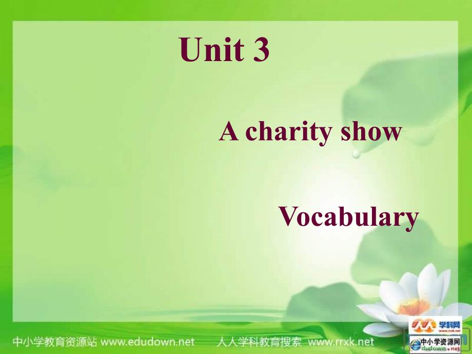 牛津译林版英语八下Unit 4 A Charity how(Vocabulary)ppt课件_第1页