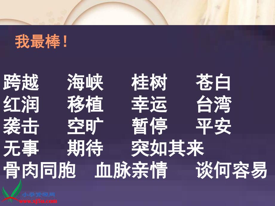 人教版四年级上学期22跨越海峡的生命桥_第4页