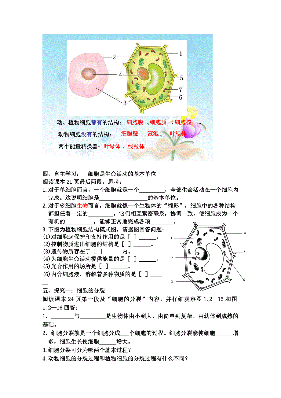 济南版七年级生物上册第一单元第二章严整的生命结构复习教案_第4页