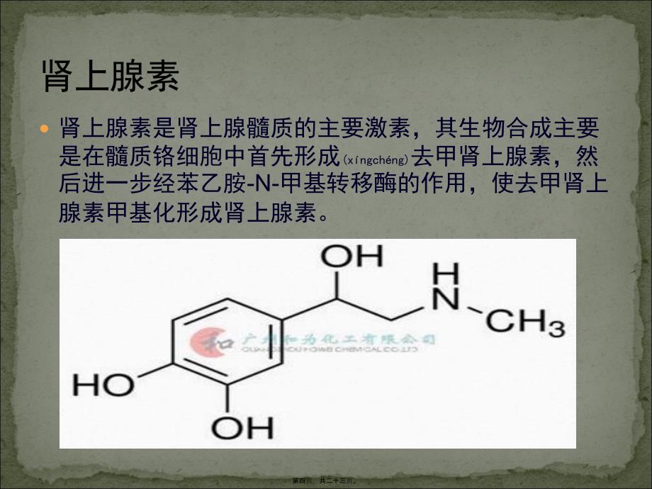 医学专题—胰岛素及甲状腺素对血糖的影响_第4页