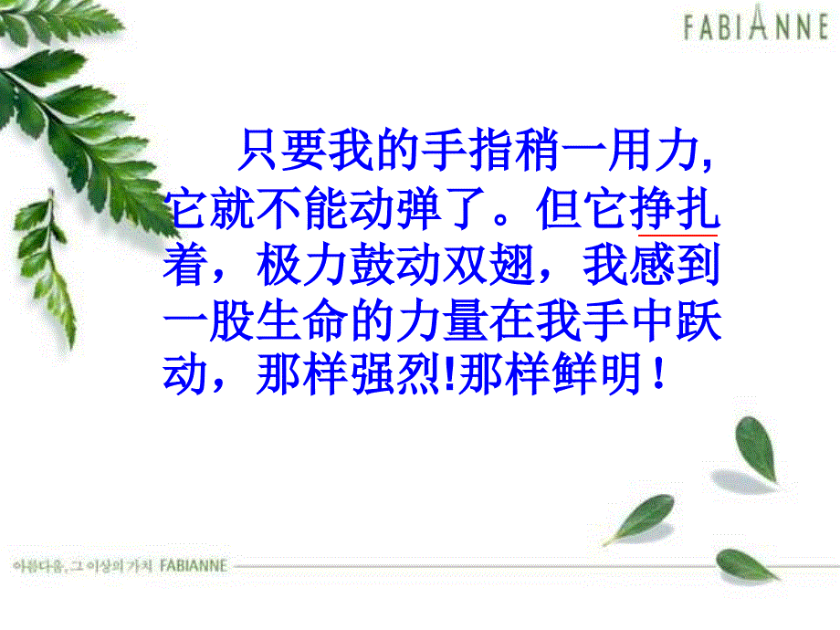 新课标人教版第八册语文生命生命优秀课件_第3页