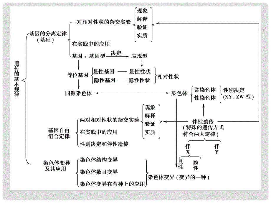 .高中生物 第三章 遗传和染色体课件 苏教版必修2_第2页