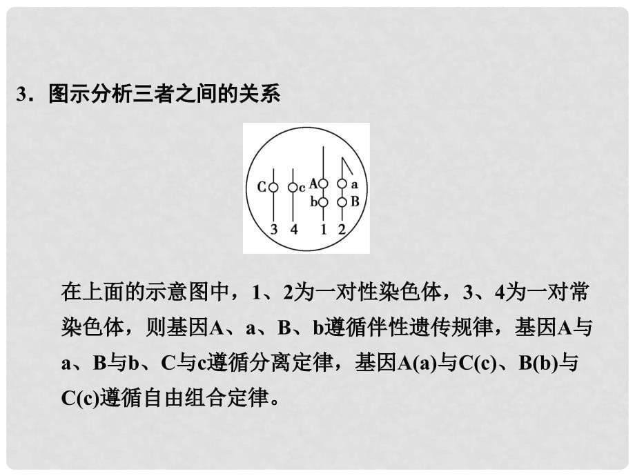 .高中生物 第三章 遗传和染色体课件 苏教版必修2_第5页