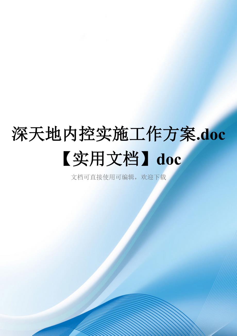 深天地内控实施工作方案.doc【实用文档】doc_第1页