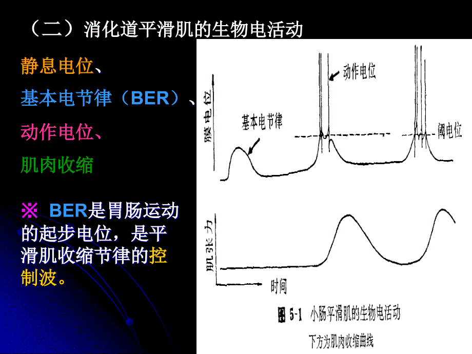 教学课件第六章消化和吸收_第3页