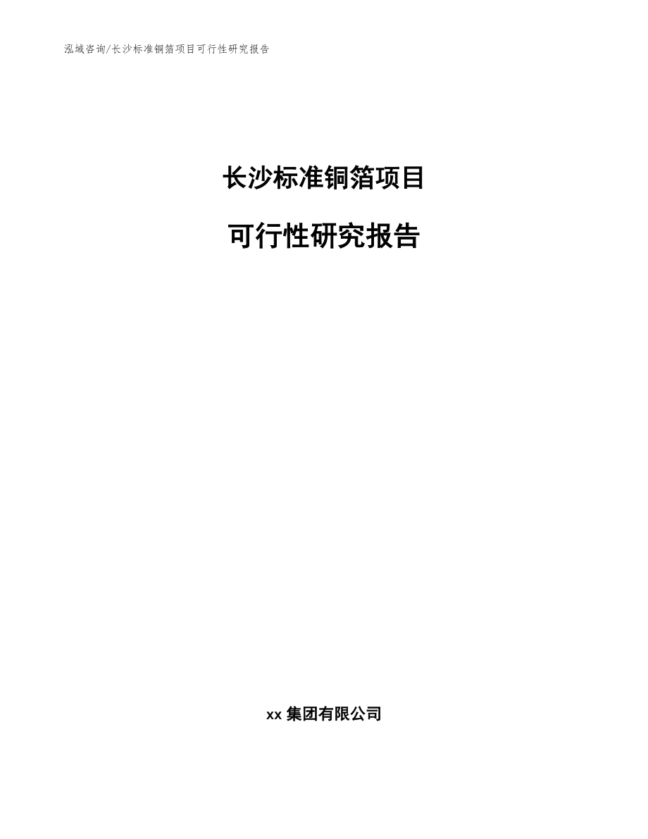 长沙标准铜箔项目可行性研究报告参考模板_第1页