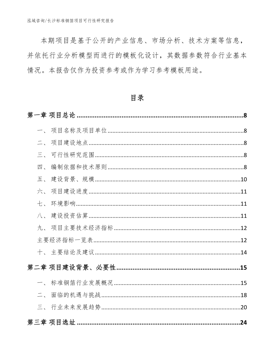 长沙标准铜箔项目可行性研究报告参考模板_第3页