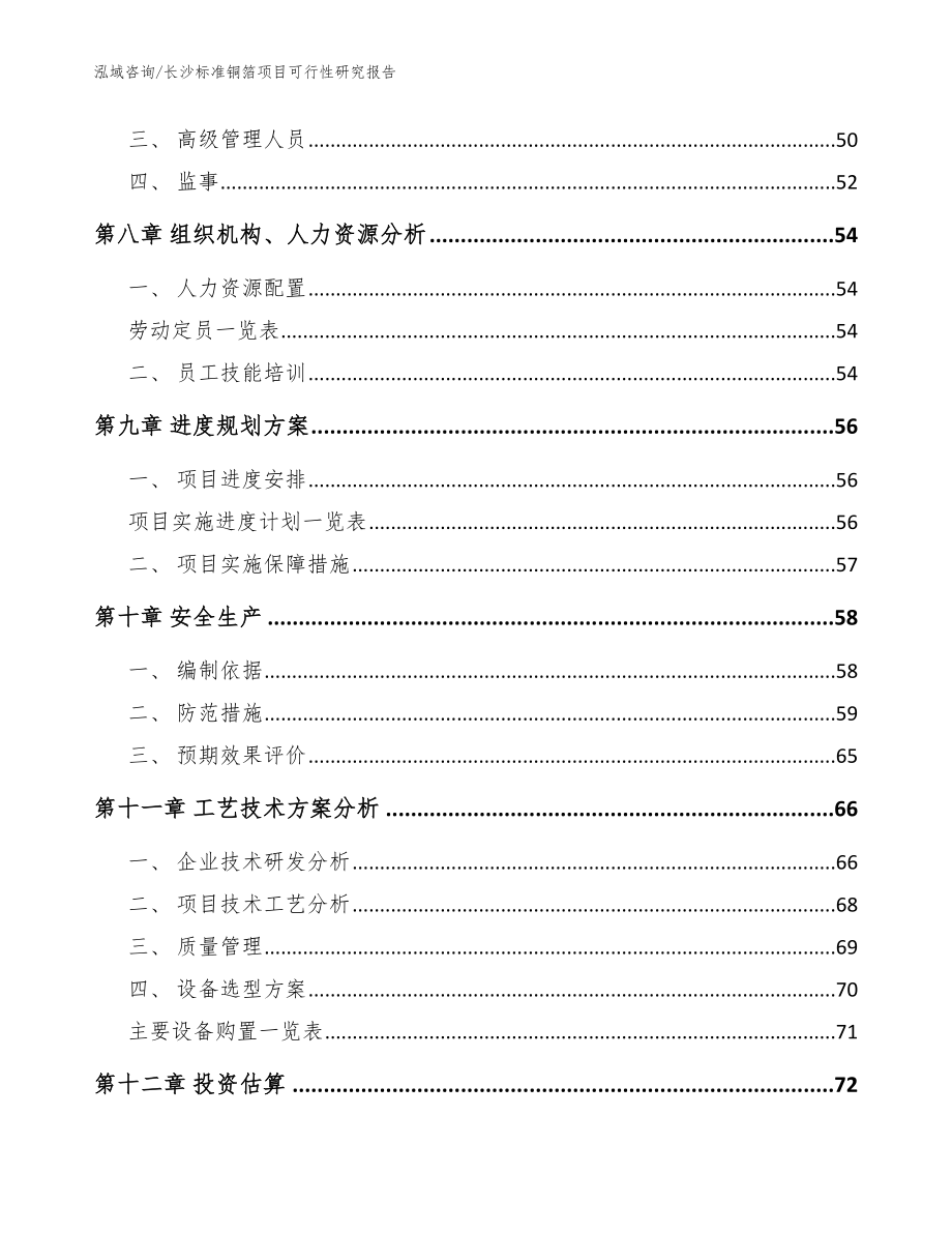 长沙标准铜箔项目可行性研究报告参考模板_第5页