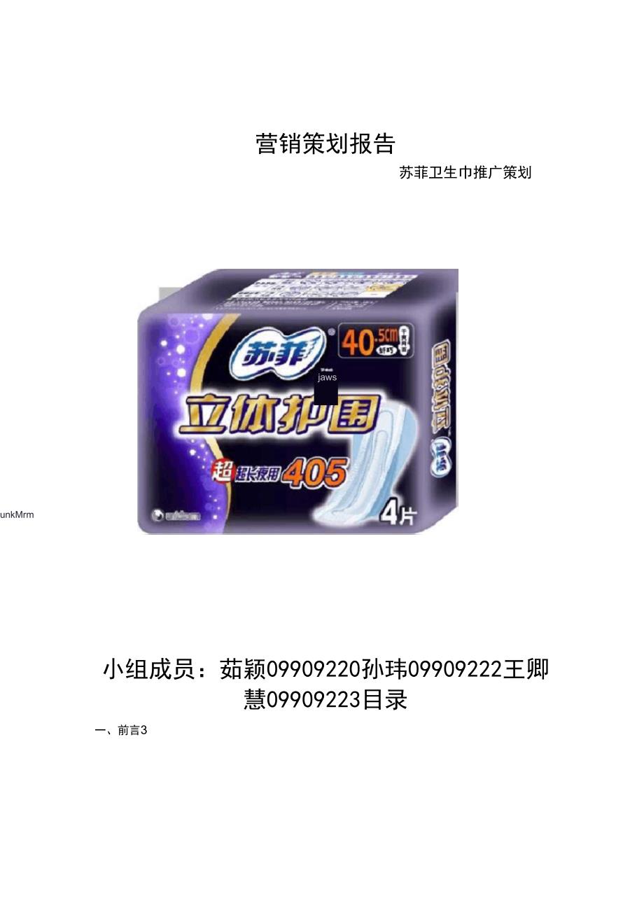 苏菲营销策划报告_第1页
