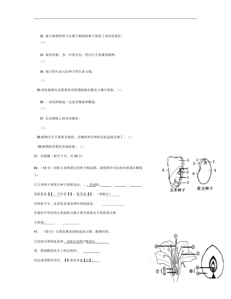 新人教版生物七年级上学期第三次月考试题.doc_第4页