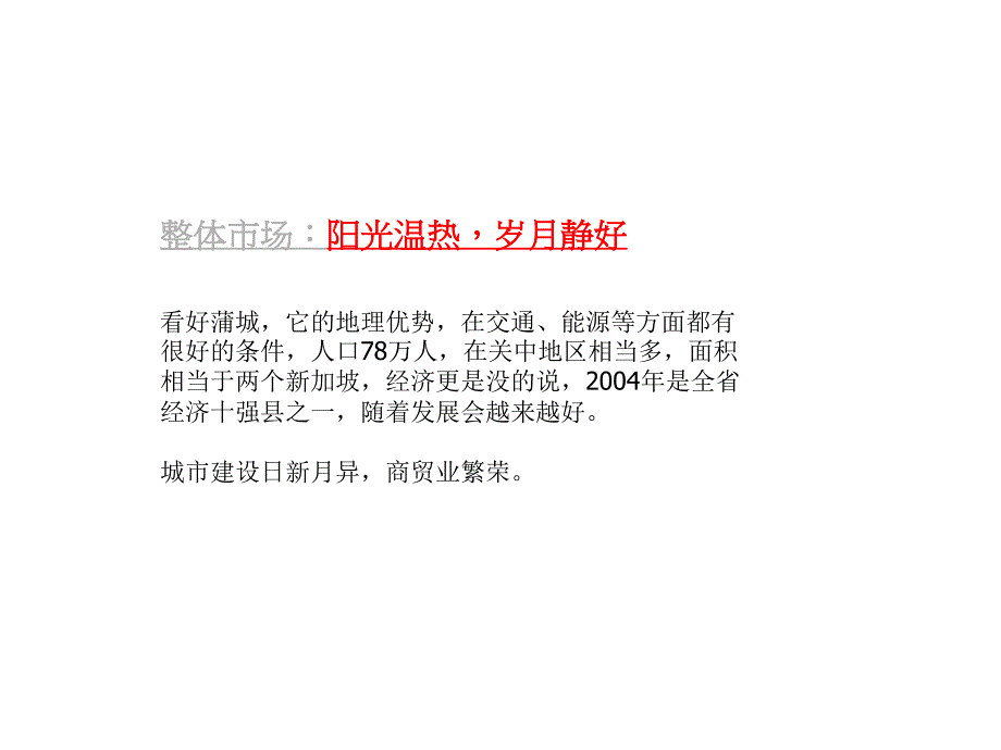 11月20日渭南市蒲城西街项目前期策略_第4页