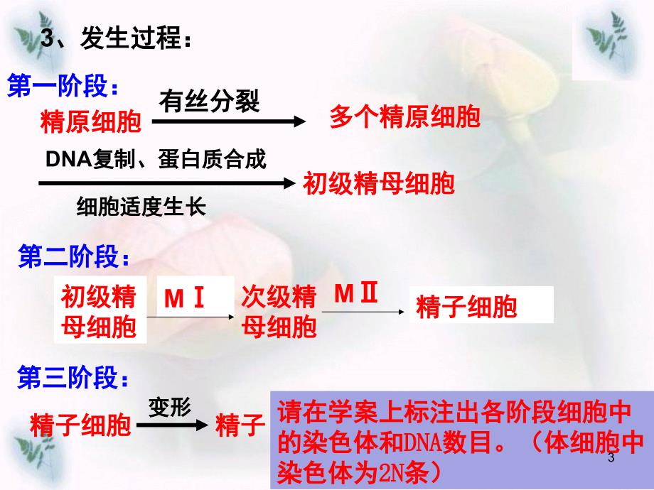 初级卵母细胞分享资料_第3页