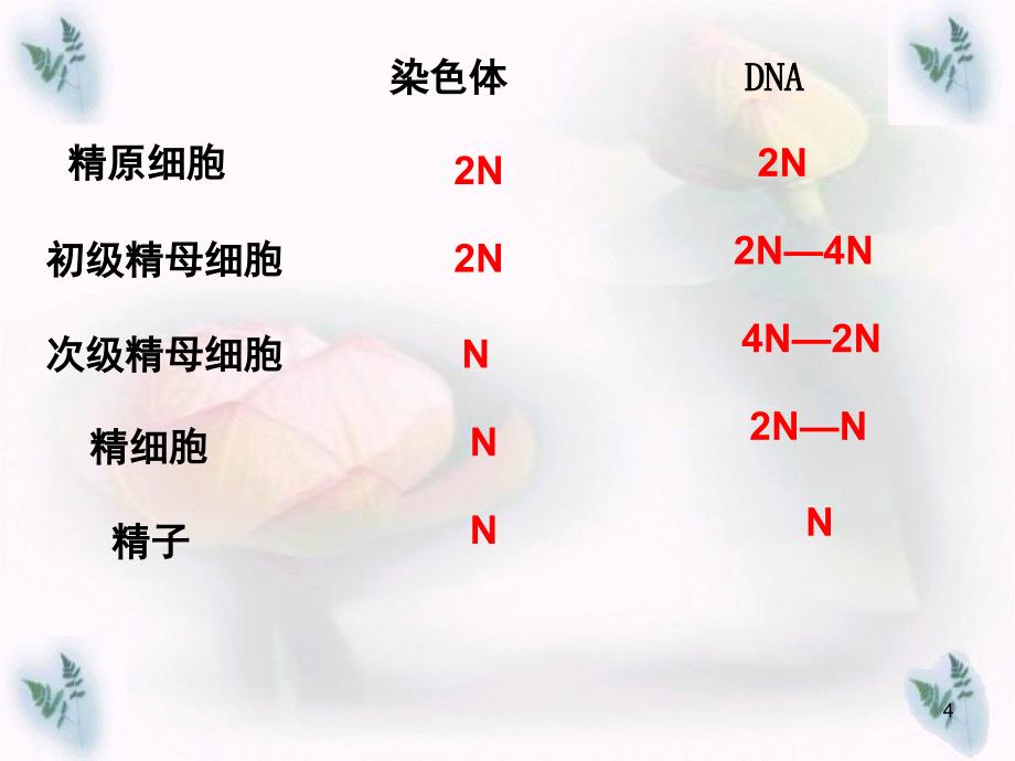 初级卵母细胞分享资料_第4页