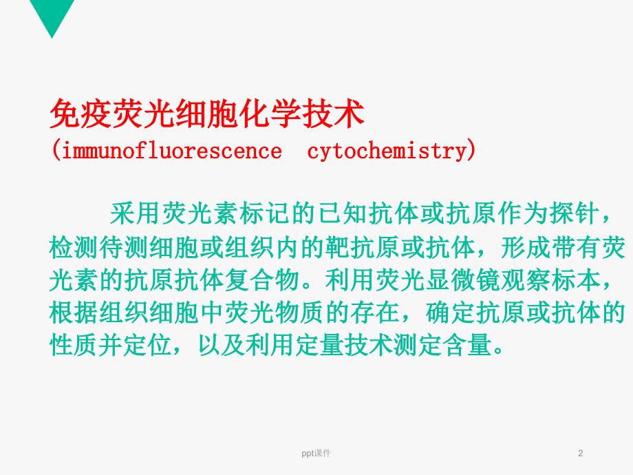 免疫荧光细胞化学技术ppt课件_第2页