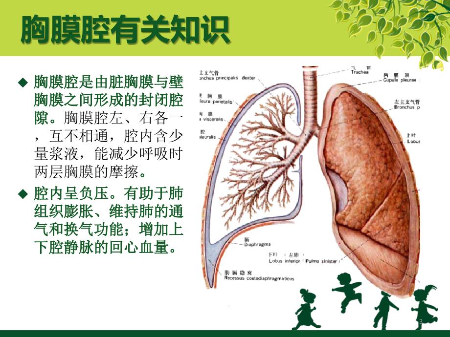 负压胸瓶及胸腔闭式引流的护理ppt课件_第3页