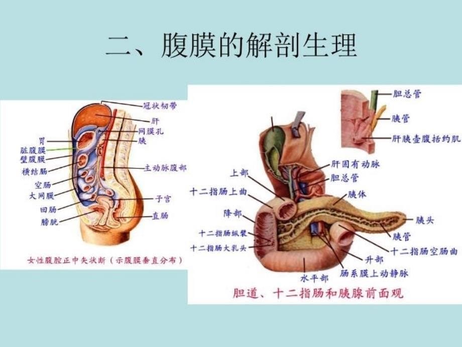 最新外科学重症胰腺炎PPT课件_第5页