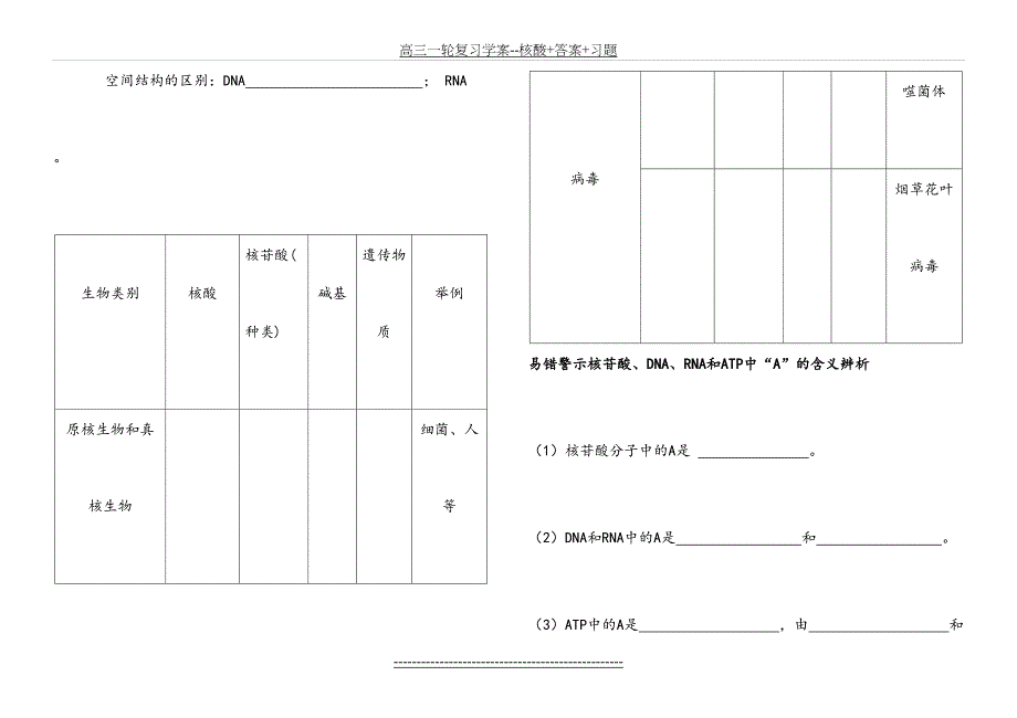 高三一轮复习学案核酸答案习题_第4页