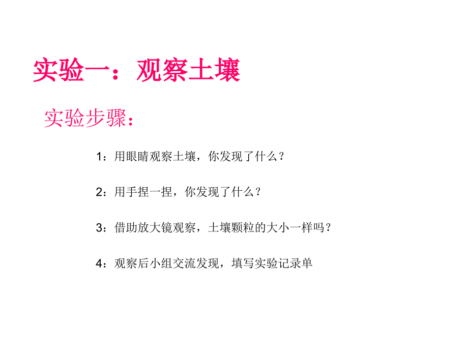 《土壤里有什么》课件.ppt_第4页