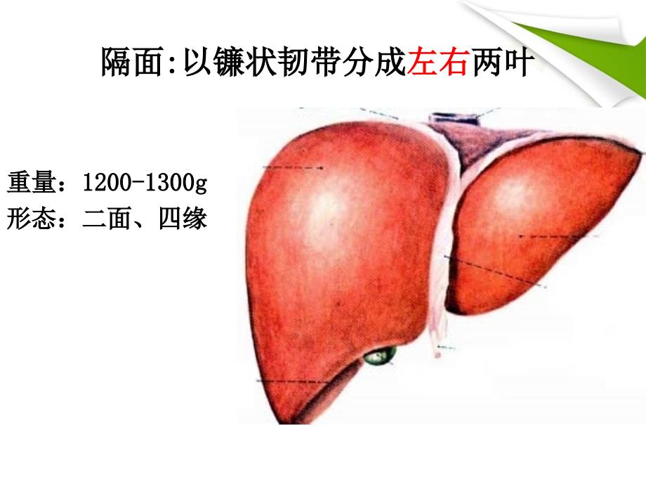 肝脓肿护理进展_第4页