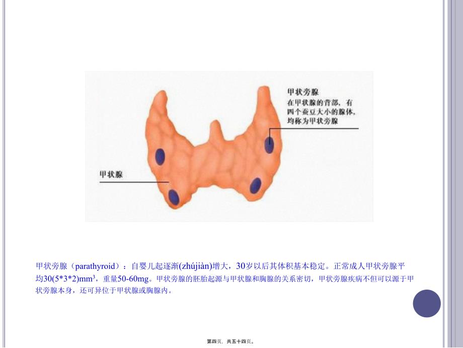 医学专题—原发性甲状旁腺功能亢进症概述_第4页