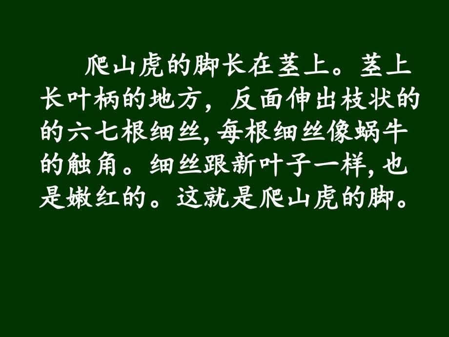 2I爬山虎的脚讲课1419.48.23副本_第5页