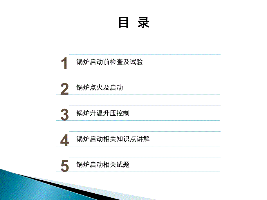 垃圾焚烧锅炉启动及注意事项_第2页