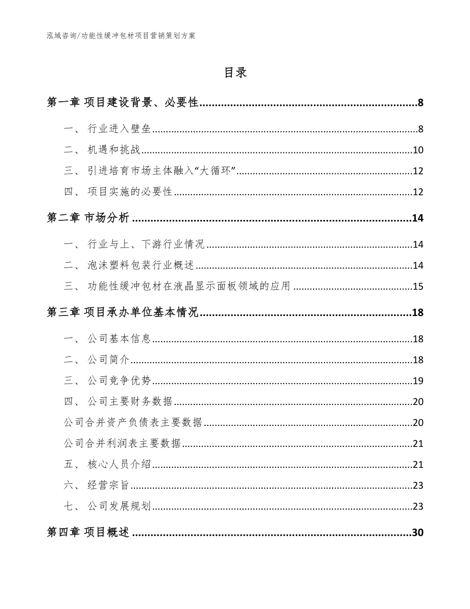 功能性缓冲包材项目营销策划方案模板范文_第1页