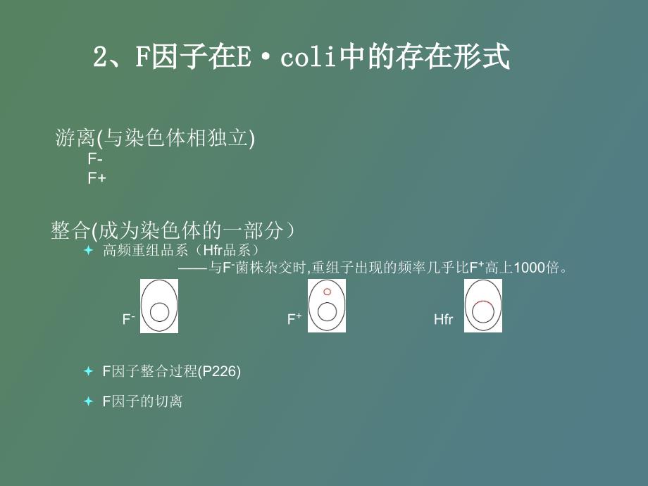 细菌和噬菌体的遗传重组_第3页