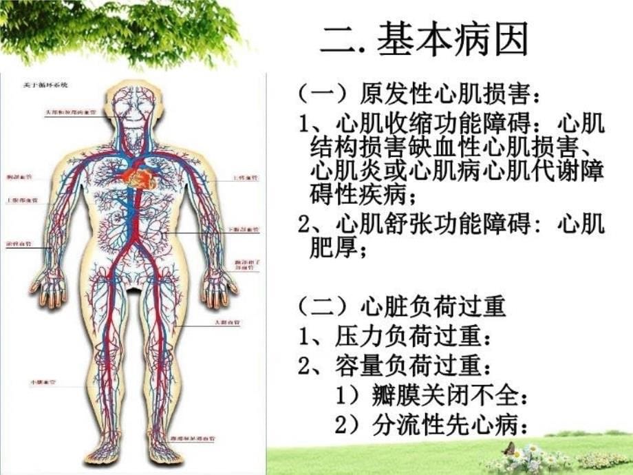 最新心力衰竭常见疾病PPT课件_第5页