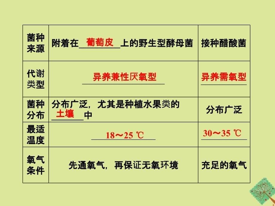 高中生物专题1传统发酵技术的应用课题1果酒和果醋的制作课件新人教版选修1_第5页