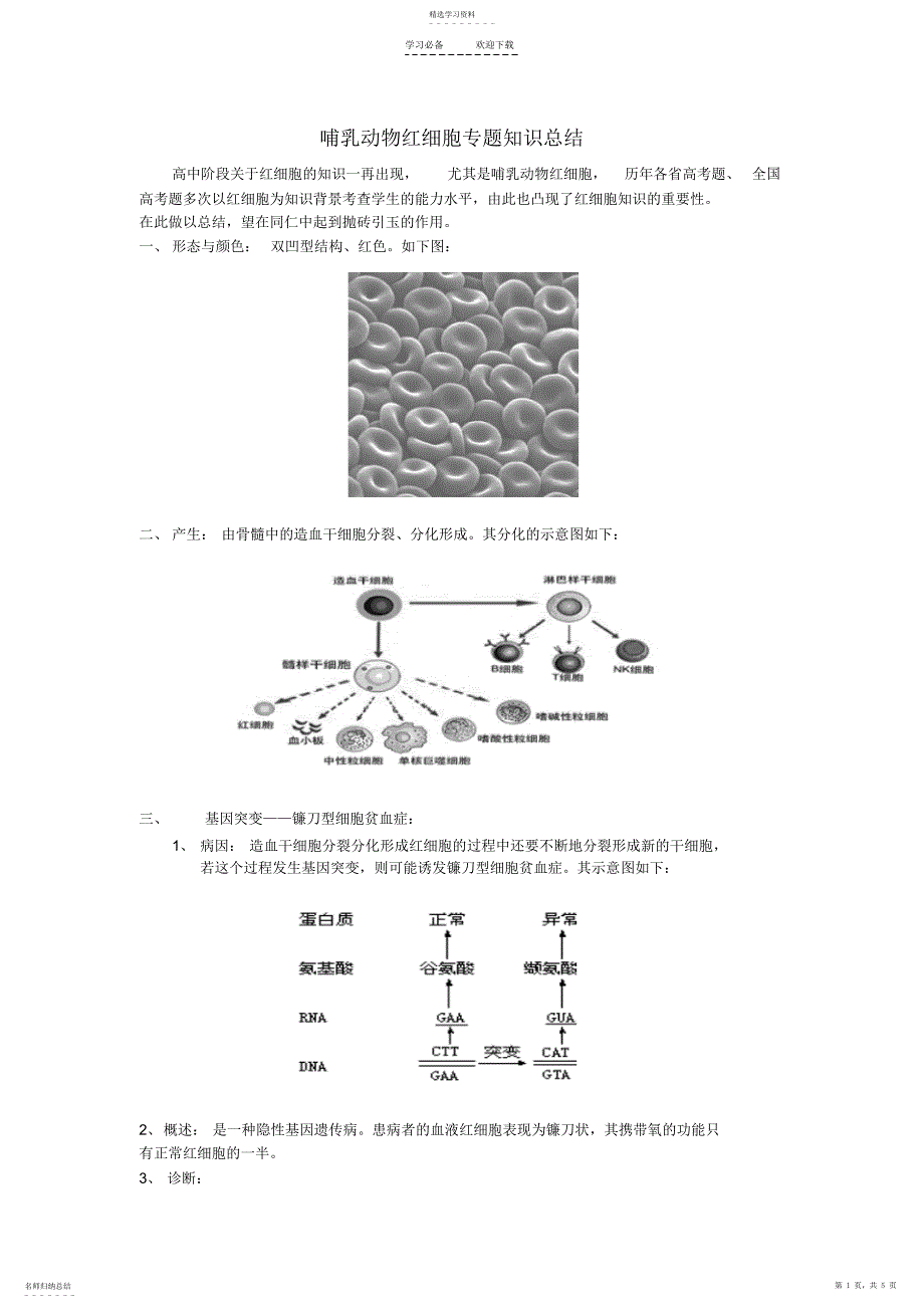 2022年哺乳动物红细胞专题知识总结_第1页