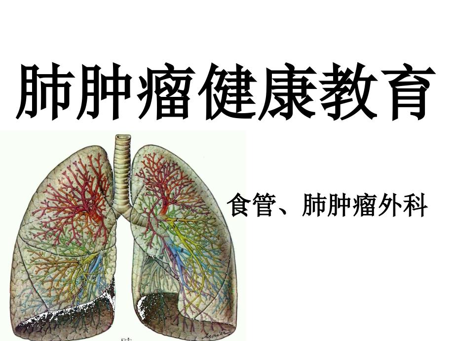 肺肿瘤健康教育ppt课件_第1页