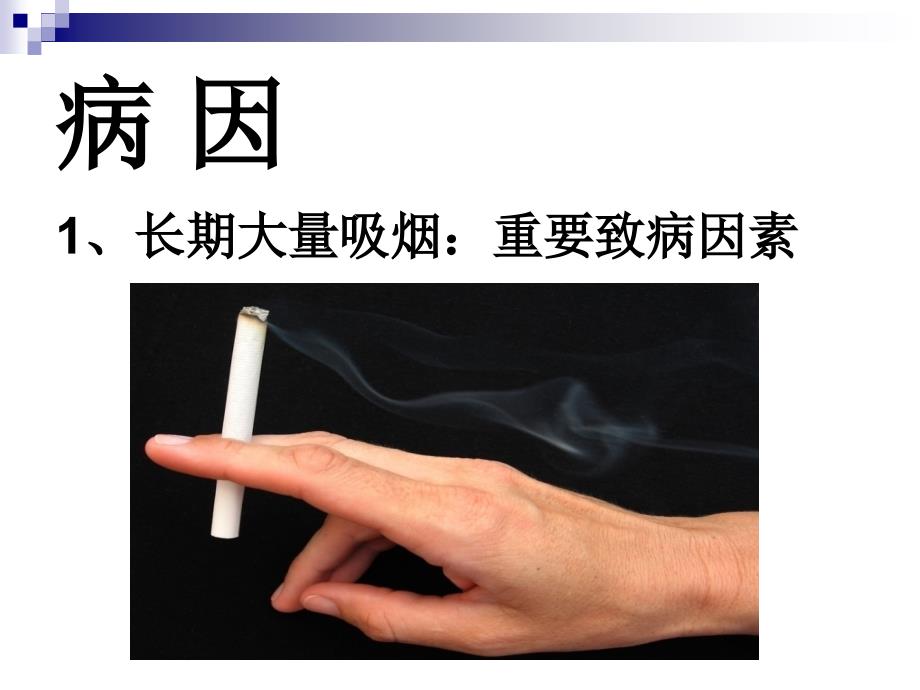 肺肿瘤健康教育ppt课件_第2页