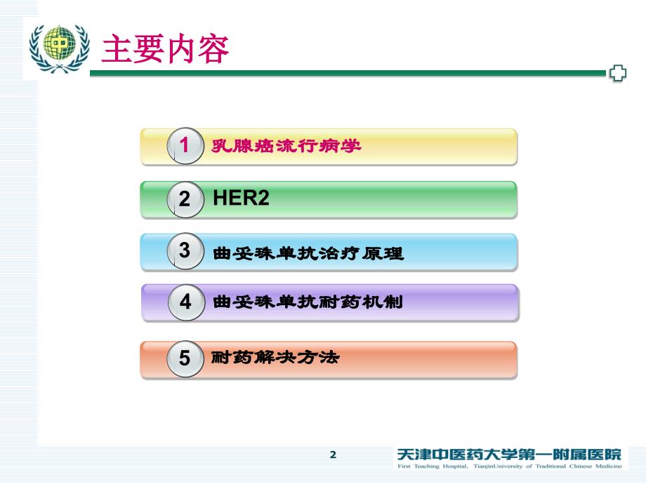 曲妥珠单抗治疗HER2阳性乳腺癌的机制耐药及对策概要_第2页