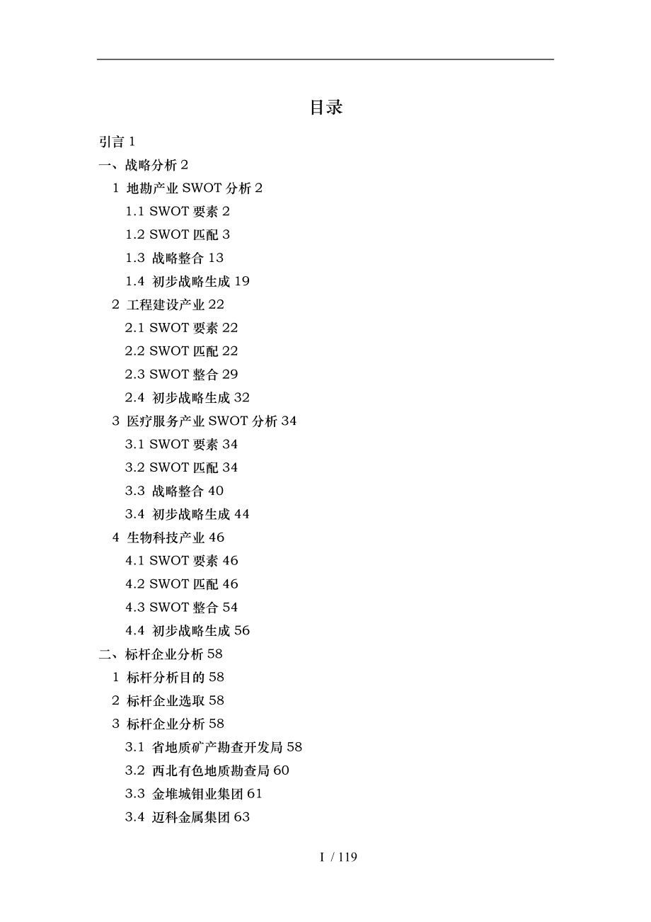 集团公司战略规划报告_第1页