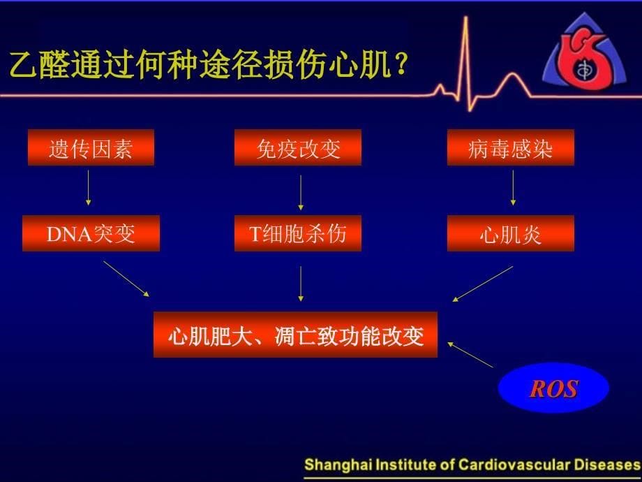 活性氧ROS介导的乙醛氧化损伤心肌致细胞凋亡的初步研究_第5页