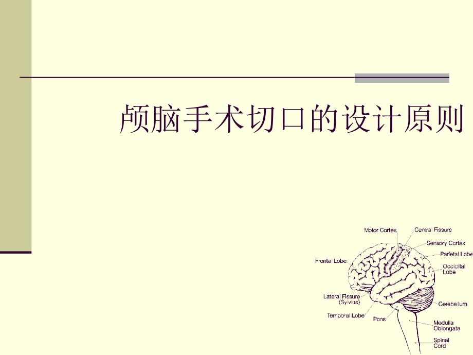 颅脑手术切口的设计原则课件_第1页