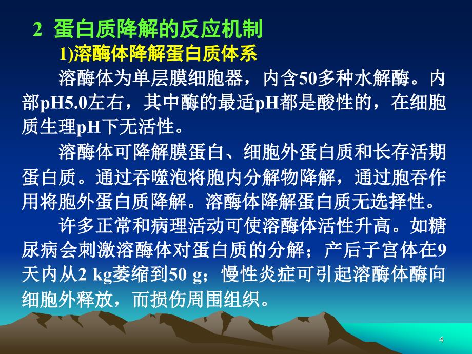 蛋白质和氨基酸的代谢.ppt_第4页