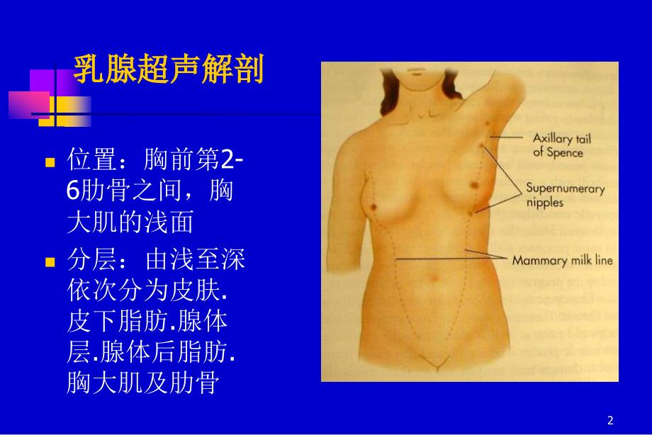 乳腺超声ppt课件_第2页